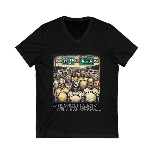 🛻They're Back...I-75 Limited V-Neck Tee